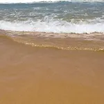 La Mata * 托雷维耶哈