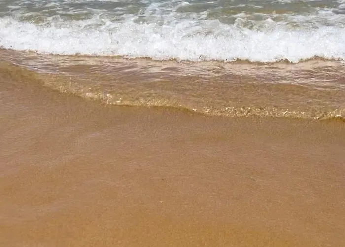 La Mata * Торевьиа